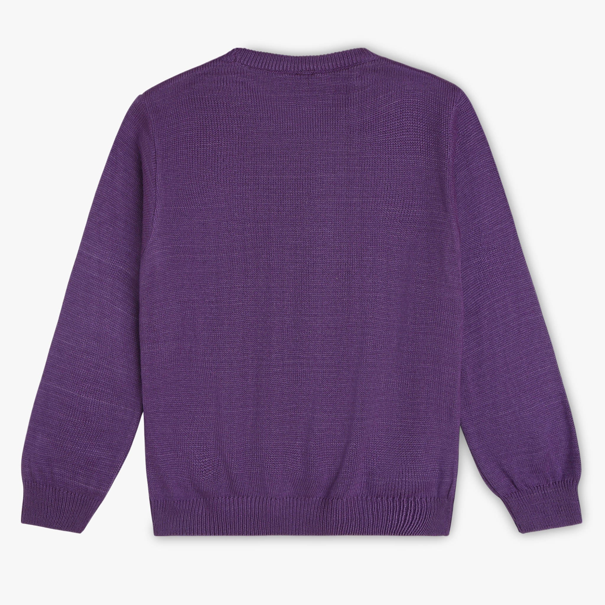 Girls Crew Neck Crew Neck Sweater - Image 2