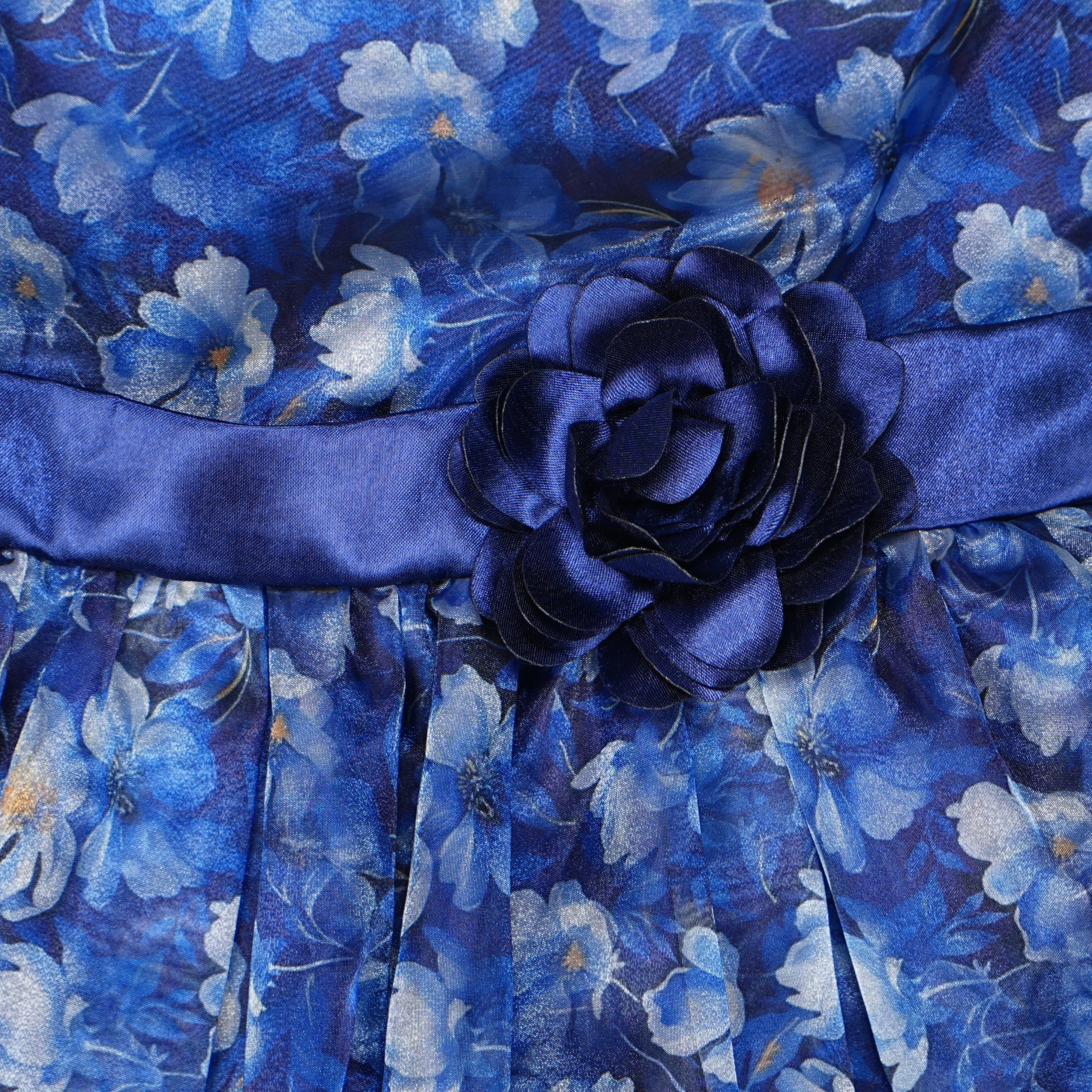 Girls Printed Organza Dress - Image 4